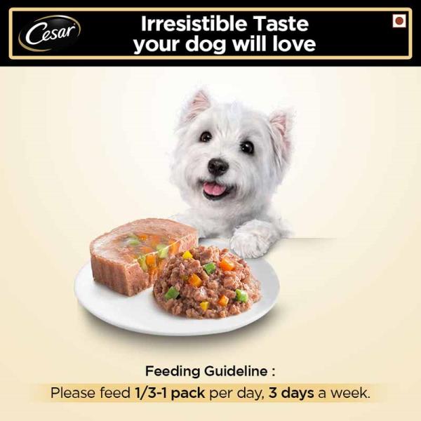 Cesar Adult Dog Food - White Meat Fish & Vegetables 100 gm - Petfood