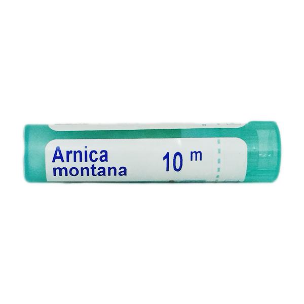 Boiron Arnica Montana 10M Multi Dose PELLETS 4 GM - Speciality Medicine