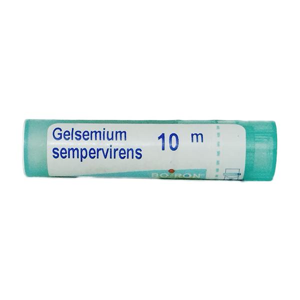 Netmeds | Boiron Gelsemium Sempervirens 10M Multi Dose PELLETS 4 GM