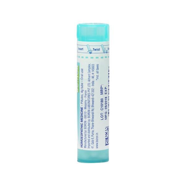 Boiron Sulphur 200C Multi Dose PELLETS 4 GM - Triturations (Homeo Tablets)