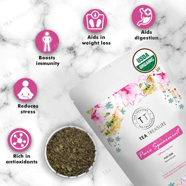Tea Treasure Caffeine Free Tea Leaves - Pure Spearmint 100 gm (Pouch) - Teas