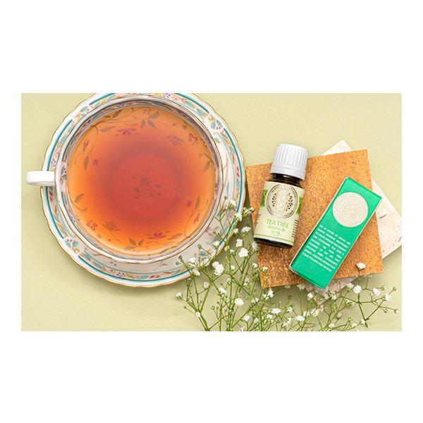 House of Aroma Essential Oil - Tea Tree 10 ml (N) - Essential Oils
