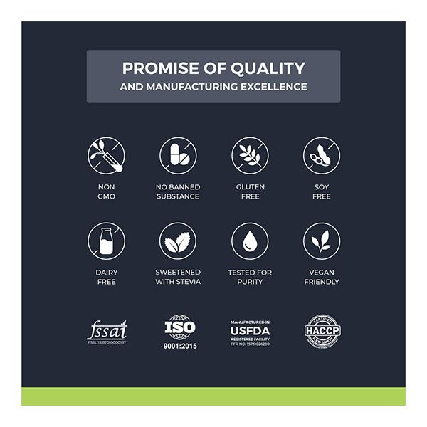 Nutrabay Wellness All-Natural Plant Protein + Superfoods - Gourmet Chocolate 1 kg - Whey Proteins