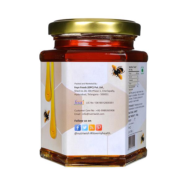 Nutriwish Honey with Cinnamon 350 gm - General Health