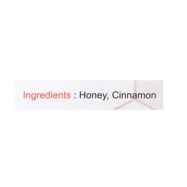 Nutriwish Honey with Cinnamon 350 gm - General Health