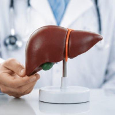 Fatty Liver Profile - Liver Screening