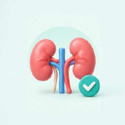 Uric Acid - Serum - Kidney Health