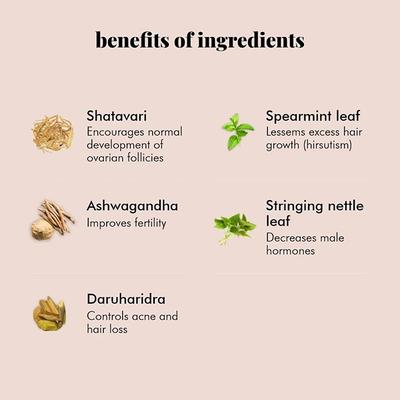 Herbal PCOS Tea Powder - Mint 60 gm - Teas
