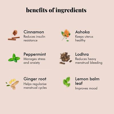 Herbal PCOS Tea Powder - Mint 60 gm - Teas