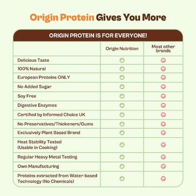 Origin Nutrition Vegan Protein Powder - Strawberry Flavour 290 g - Whey Proteins