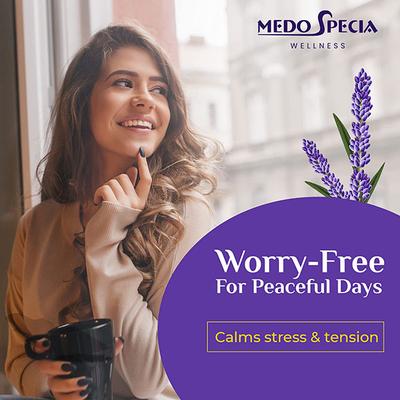 Medo Specia Pure Steam Distilled Essential Oil - Lavender 15 ml - Essential Oils
