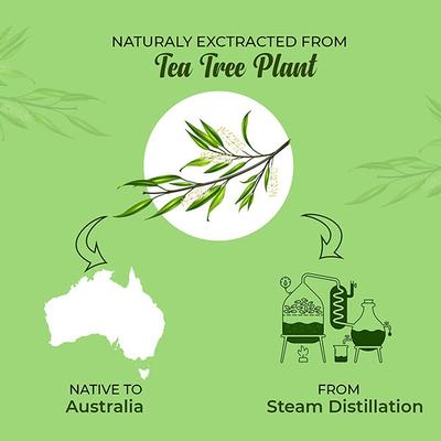 Medo Specia Pure Steam Distilled Essential Oil -Tea Tree Oil 15 ml - Essential Oils