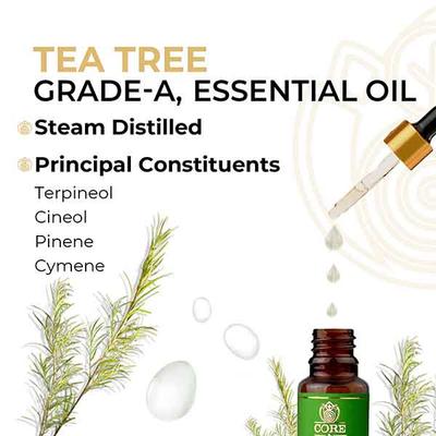 Core & Pure Grade A Essential Oil - Tea Tree 12 ml - Essential Oils