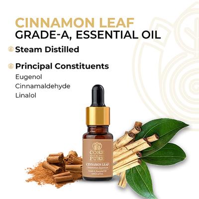 Core & Pure Grade A Essential Oil - Cinnamon Leaf 12 ml - Essential Oils