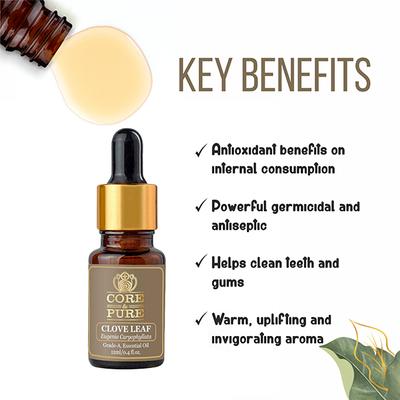 Core & Pure Grade A Essential Oil - Clove Leaf 12 ml - Essential Oils