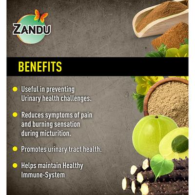 Zandu Rasayan Churna 60 gm - Speciality Medicines