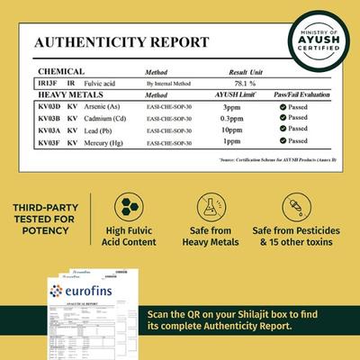 Greencure Original Himalayan Shilajit Resin 20 gm - Speciality Medicines