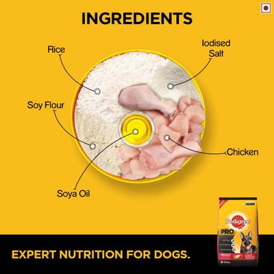 Pedigree Pro Adult Active (For Large Breed) 10000 gm - Petfood