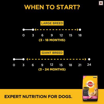 Pedigree Pro Puppy Large Breed 20 Kg - Petfood