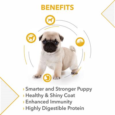 Drools Pug Puppy Premium Dog Food 4000 gm - Petfood