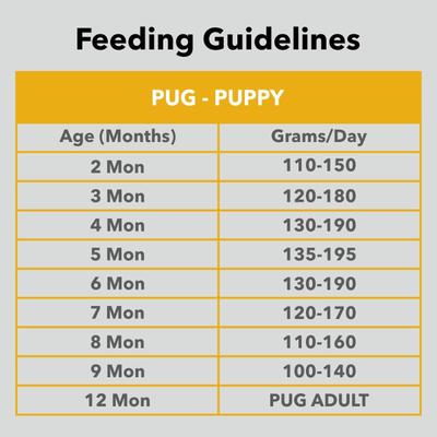 Drools Pug Puppy Premium Dog Food 4000 gm - Petfood