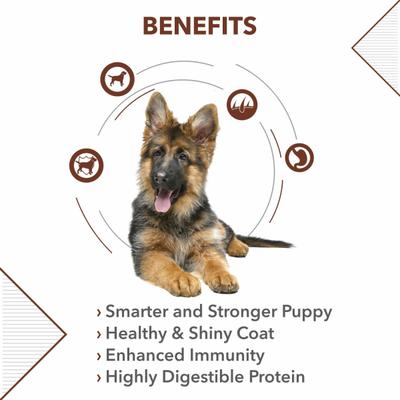 Drools German Shepherd Puppy Premium Dog Food 12000 gm - Petfood