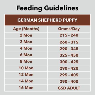 Drools German Shepherd Puppy Premium Dog Food 12000 gm - Petfood