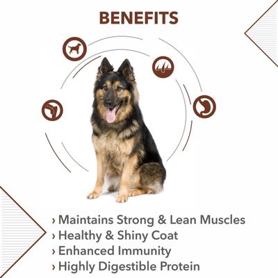 Drools German Shepherd Adult Premium Dog Food 4000 gm - Petfood