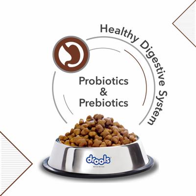 Drools German Shepherd Adult Premium Dog Food 4000 gm - Petfood