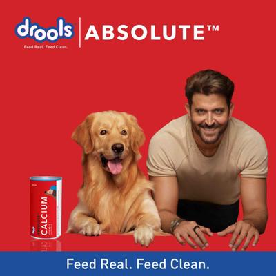 Drools Absolute Calcium Syrup- Dog Supplement 300 ml - Petfood