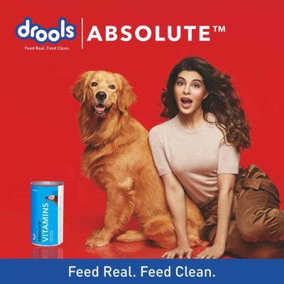 Drools Absolute Vitamin Syrup- Dog Supplement 300 ml - Petfood