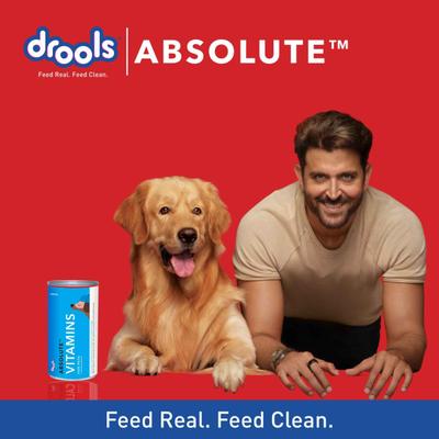 Drools Absolute Vitamin Syrup- Dog Supplement 300 ml - Petfood