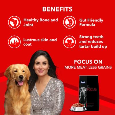 Drools Focus Adult Super Premium Dog Food 12kg (+1kg Extra Free Inside) 13000 gm - Petfood