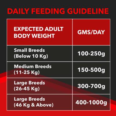 Drools Focus Adult Super Premium Dog Food 12kg (+1kg Extra Free Inside) 13000 gm - Petfood