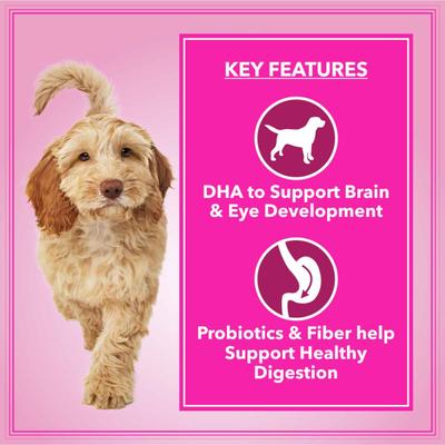 Let's Bite Active Adult Dog Food 10kg (+2kg Extra Free Inside) 12000 gm - Petfood