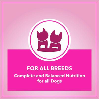 Let's Bite Active Adult Dog Food 10kg (+2kg Extra Free Inside) 12000 gm - Petfood