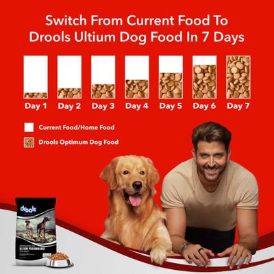 Drools Ultium Performance Adult Dog Food 20000 gm - Petfood