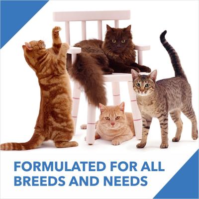 Drools Ocean Fish Adult Cat Food 7kg (+20% Extra Free Inside) 8400 gm - Petfood