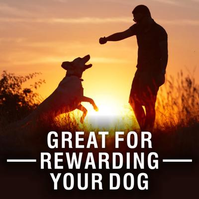 Purepet 100% Vegeterian Biscuit,Dog Treats- Jar 905 gm - Petfood