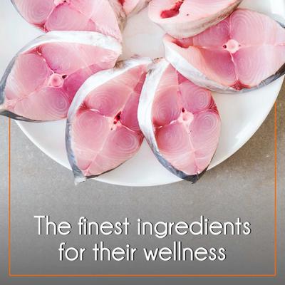 Purepet Mackerel Adult Cat Food 1200 gm - Petfood