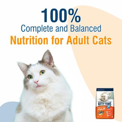 Kitty Yums Adult (+1 Year) Dry Cat Food, Ocean Fish 1200 gm - Petfood