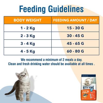Kitty Yums Adult (+1 Year) Dry Cat Food, Ocean Fish 1200 gm - Petfood