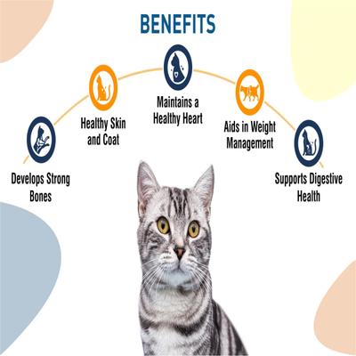 Kitty Yums Adult (+1 Year) Dry Cat Food, Ocean Fish 1200 gm - Petfood