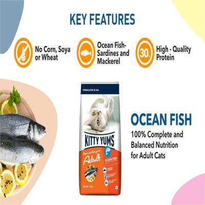 Kitty Yums Adult (+1 Year) Dry Cat Food, Ocean Fish 1200 gm - Petfood