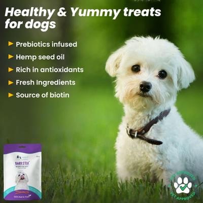 Wiggles Barkstix Dog Treats Berry Blast (Pack of 2*100gm) 1's - Petfood