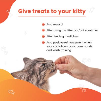 Wiggles Kittystix Cat Treats Salmon & Hemp 70 gm - Petfood