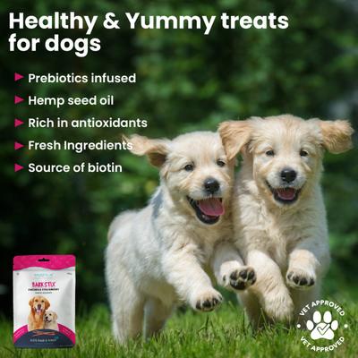 Wiggles Barkstix Dog Treats Chicken & Strawberry 100 gm - Petfood
