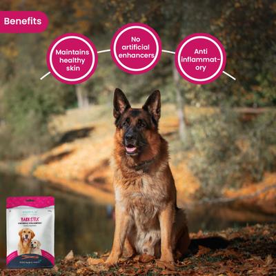Wiggles Barkstix Dog Treats Chicken & Strawberry 100 gm - Petfood