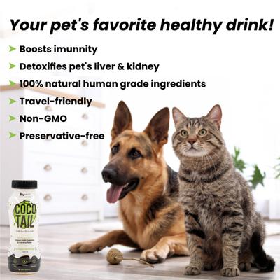 Wiggles Cocotail Dogs & Cats Healthy Energy Drink (Pack of 6*200ml) 1200 ml - Pet Healthcare