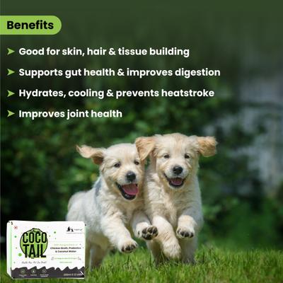 Wiggles Cocotail Dogs & Cats Healthy Energy Drink (Pack of 6*200ml) 1200 ml - Pet Healthcare